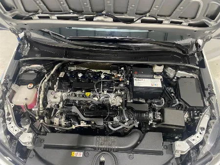 COROLLA XLI 2023- imgN°8