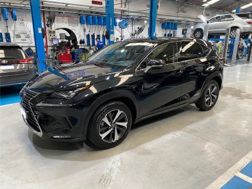 LEXUS NX 2.5 300H LUXURY 2020